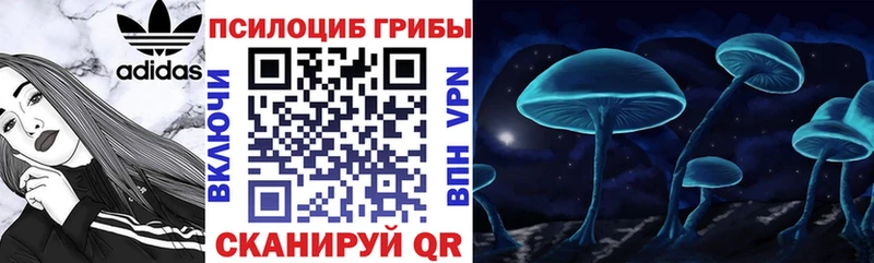 где можно купить   Магас  Псилоцибиновые грибы мухоморы 